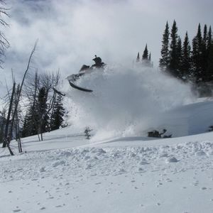 Meet your Posher, Dayne